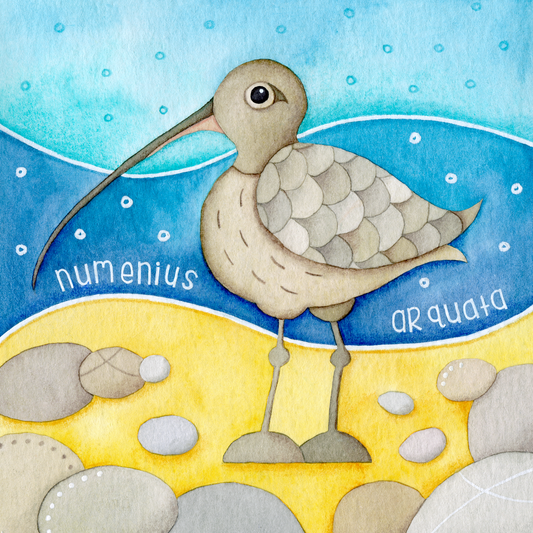 Greetings Card - Curlew  - Seaside Watercolour Painting