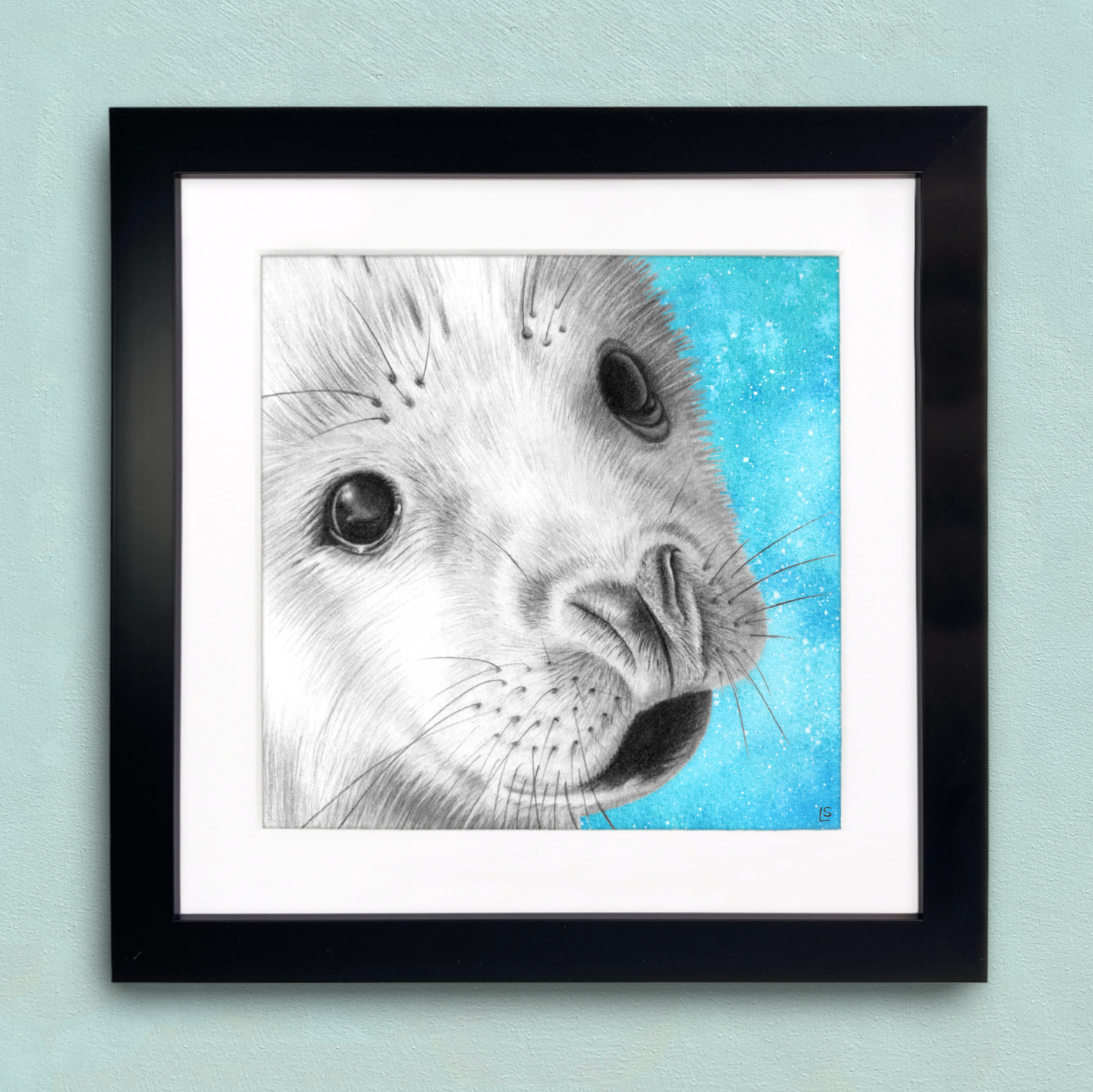 Framed Baby Seal Print - Pencil Drawing Wall Art - Sealife Wildlife Portraits